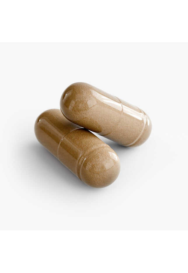 Liver Support